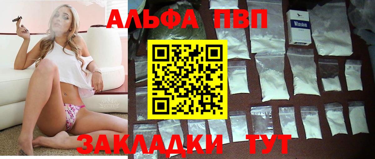 Альфа ПВП СК Славгород