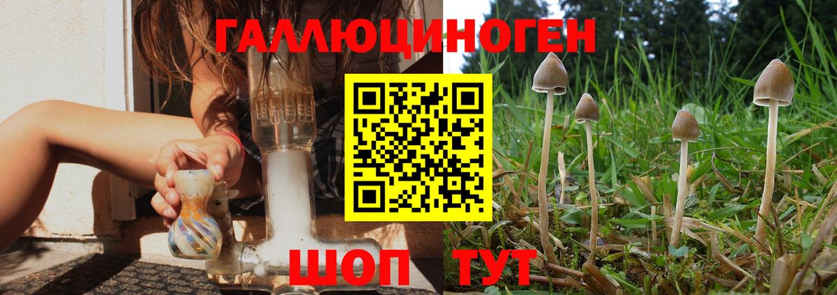 как найти наркотики  Галлюциногенные грибы MAGIC MUSHROOMS  Вход с VPN  Славгород 