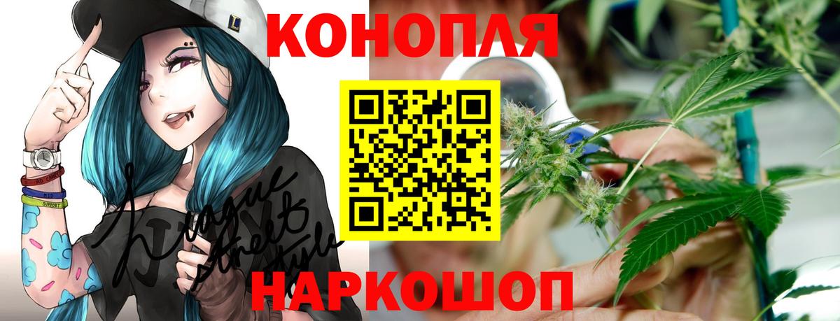 Бошки марихуана конопля Славгород